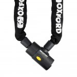 Oxford Alarm chain 
